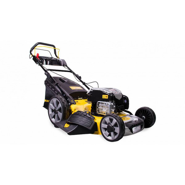 Бензиновые газонокосилки в фирменном магазине Champion